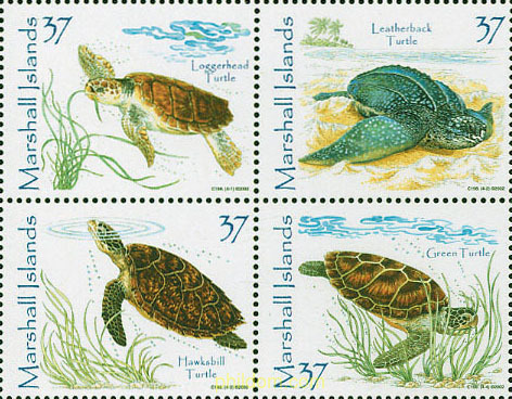 TORTUGAS