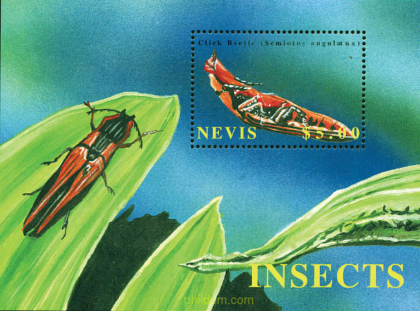 INSECTOS