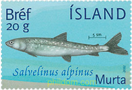 PECES DEL LAGO THINGVELLIR