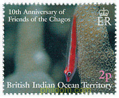 10 ANIVERSARIO DE LOS AMIGOS DE CHAGOS