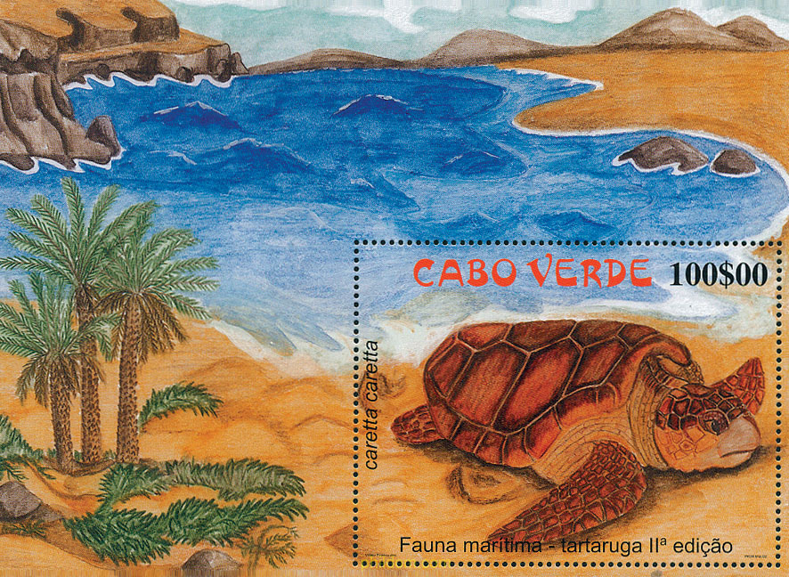 TORTUGAS MARINAS
