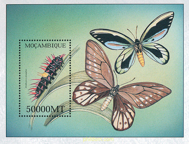 MARIPOSAS