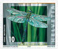 INSECTOS