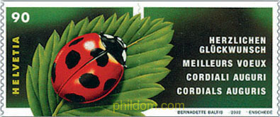 INSECTOS