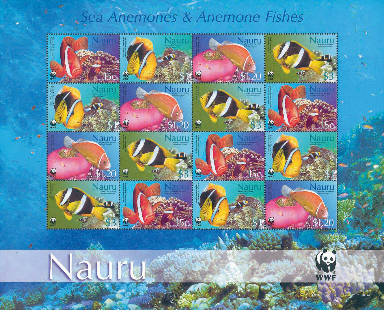 ANEMONAS Y PECES