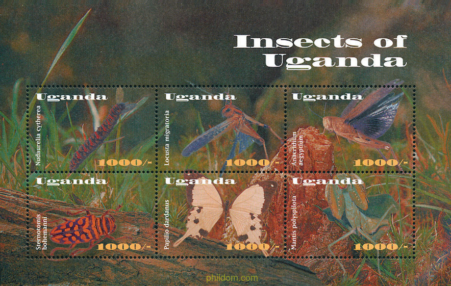 INSECTOS DE UGANDA