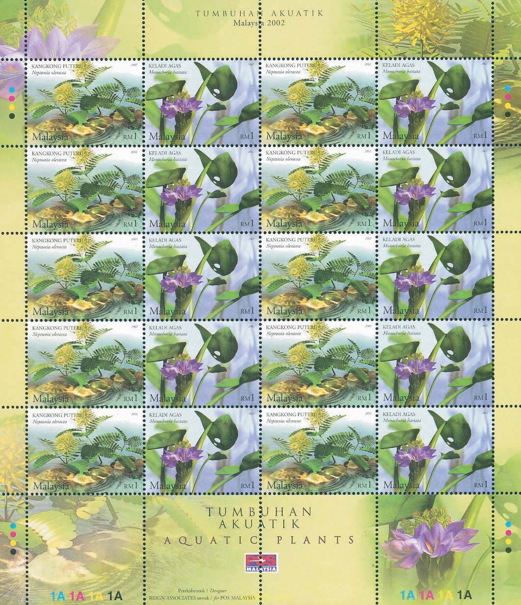 PLANTAS ACUATICAS