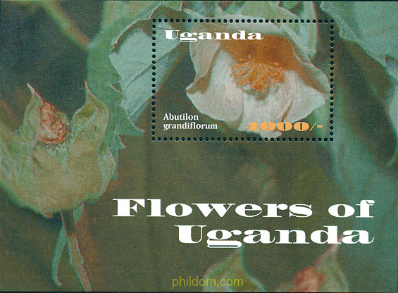 FAUNA Y FLORA