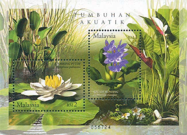 PLANTAS ACUATICAS
