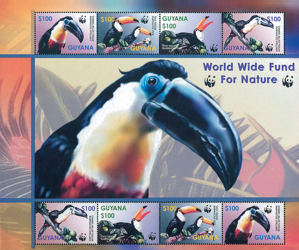 WWF