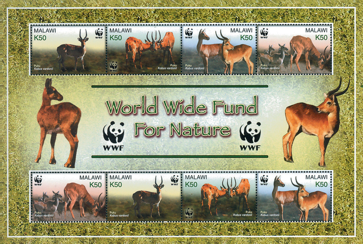 PROTECCION DE LA NATURALEZA