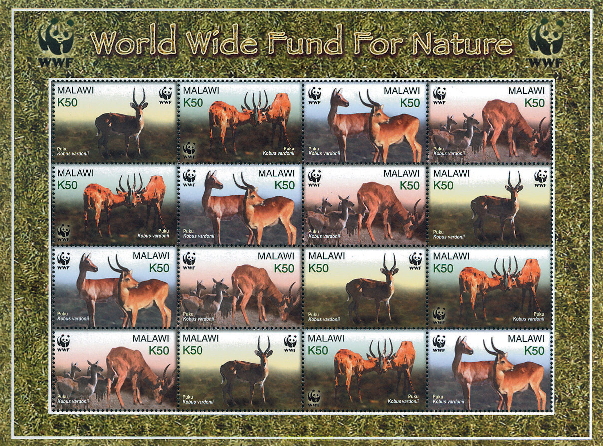PROTECCION DE LA NATURALEZA