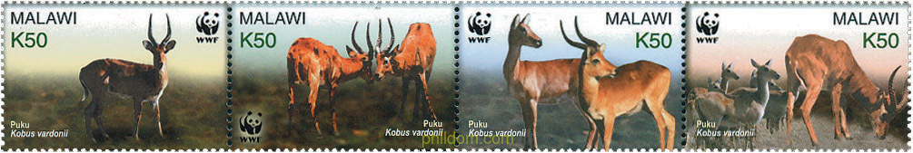 PROTECCION DE LA NATURALEZA