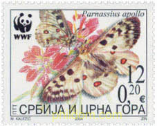 WWF