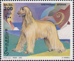 PERROS