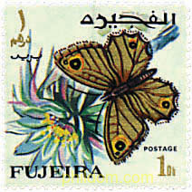 MARIPOSA