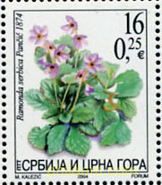 FLORA Y FAUNA