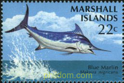 FAUNA MARINA