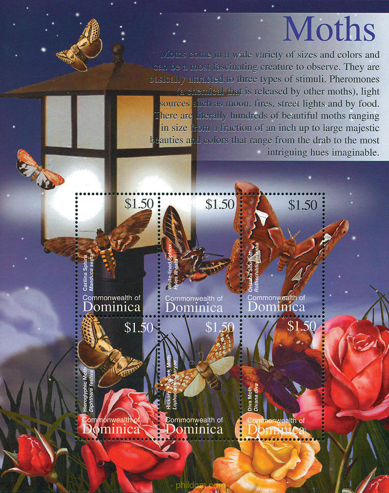 MARIPOSAS