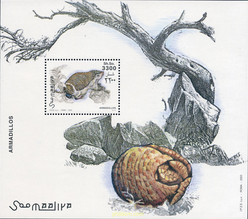 ARMADILLOS