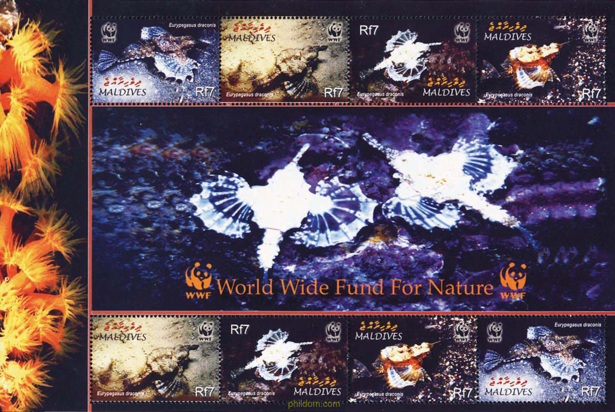 EURYPEGASUS DRACONIS