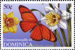 MARIPOSAS DE DOMINICA
