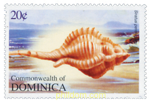 CONCHAS