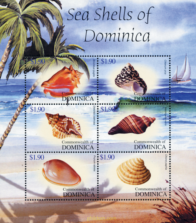 CONCHAS