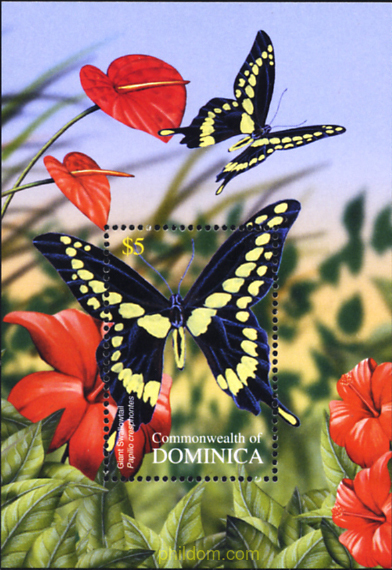 MARIPOSAS DE DOMINICA