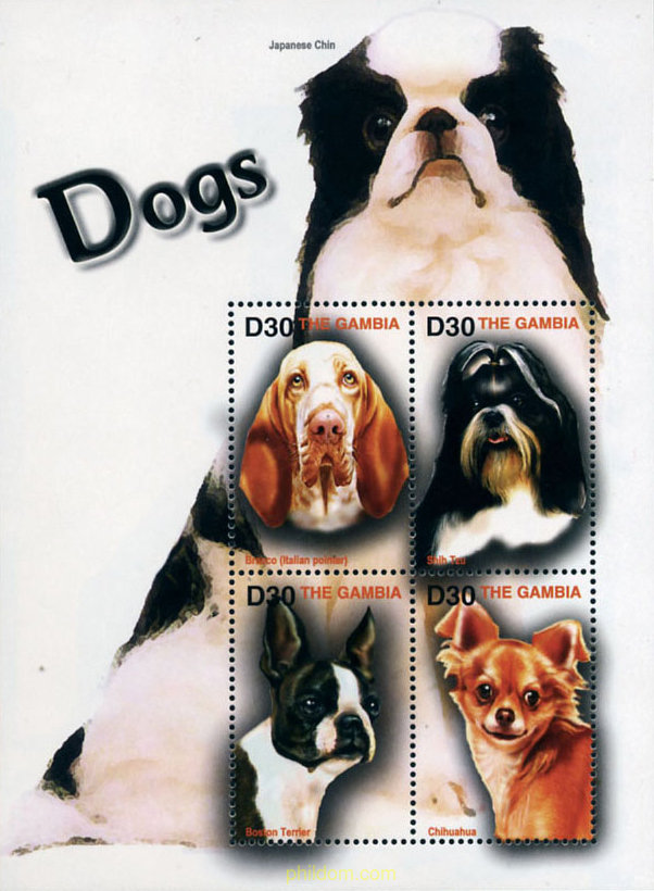 PERROS