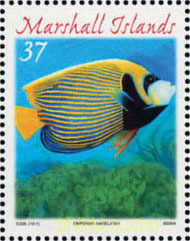 FAUNA MARINA