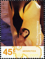 PINGUINO EMPERADOR