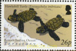 TORTUGAS MARINAS
