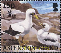 PROTECCION DE LAS AVES