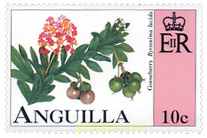FRUTOS