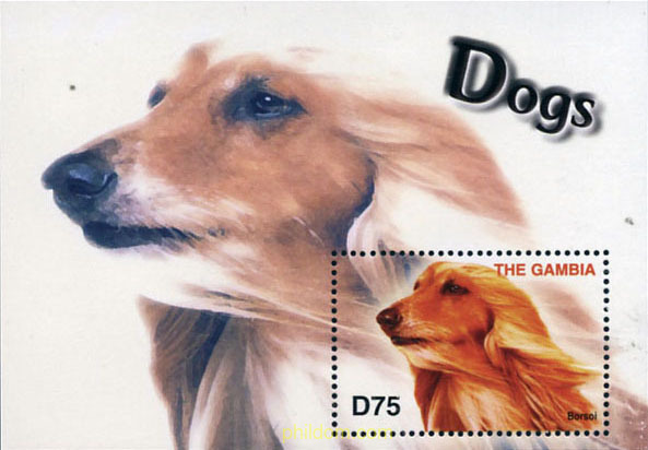 PERROS