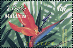 FLORES