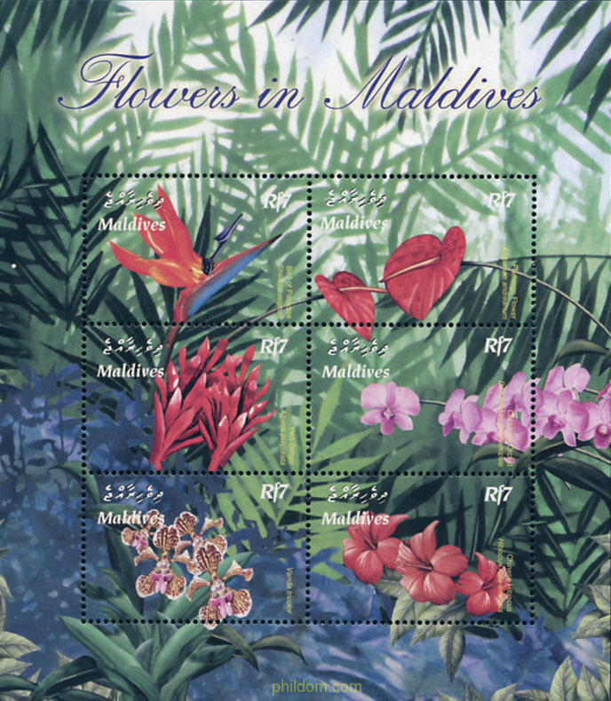 FLORES