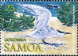 PAJAROS MARINOS