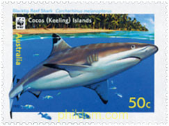 TIBURONES