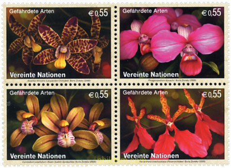 ORQUIDEAS