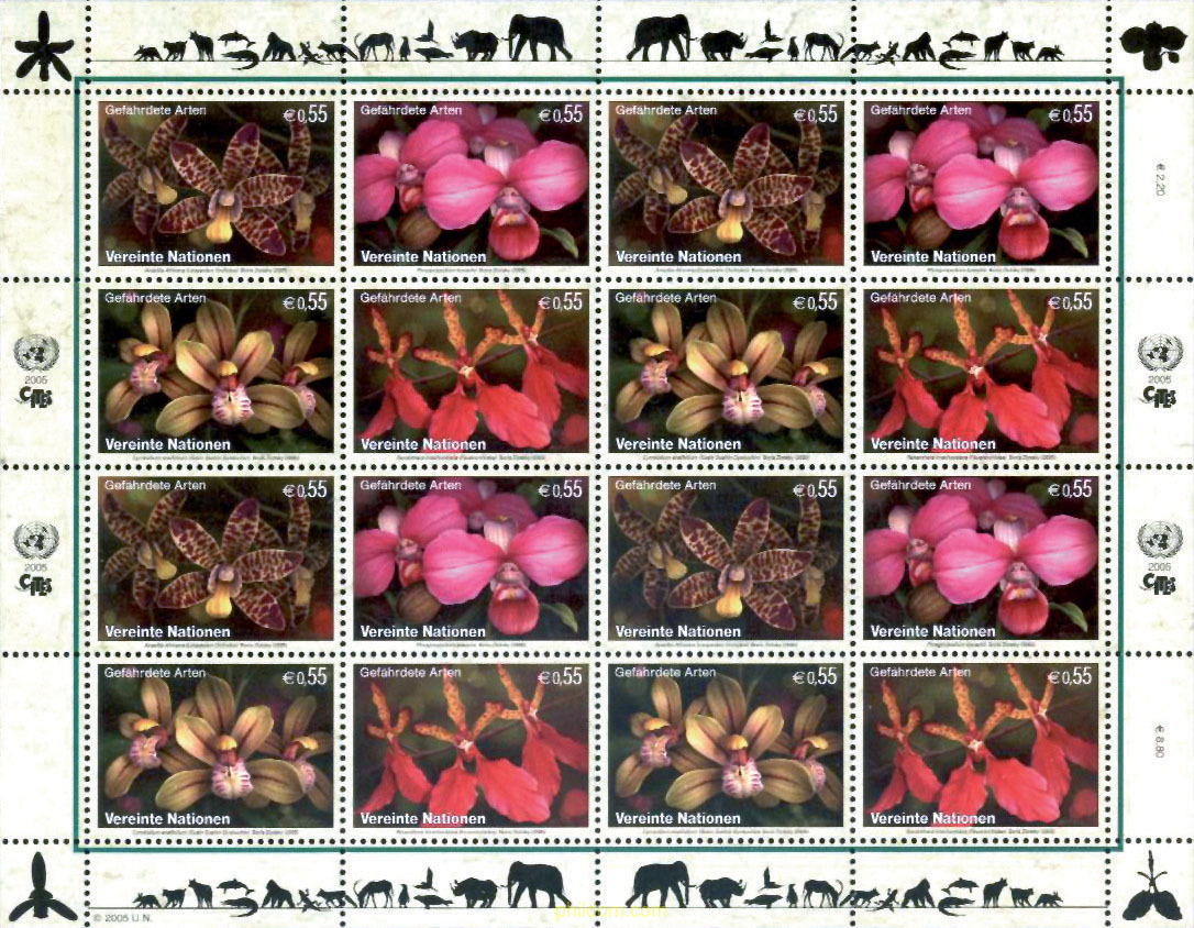 ORQUIDEAS