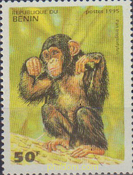 FAUNA. SIMIOS