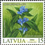 FLORA PROTEGIDA