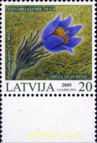 FLORA PROTEGIDA