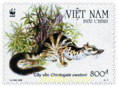 WWF