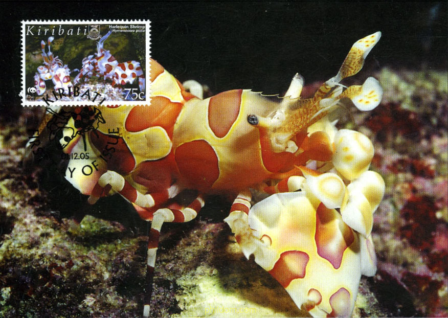 FAUNA MARINA