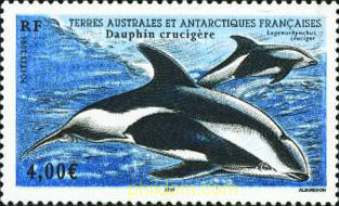 FAUNA ANTARTICA