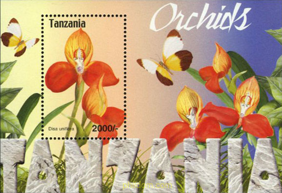 FLORES