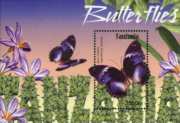 MARIPOSAS